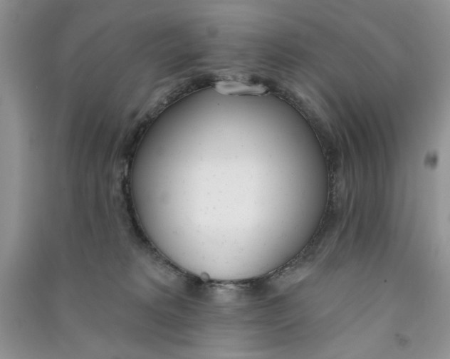 X0000090750229200708172034