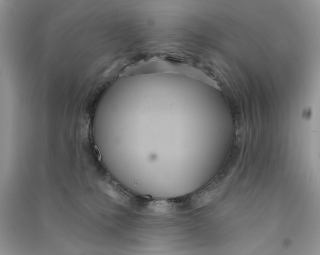 X0000090750231200708172034