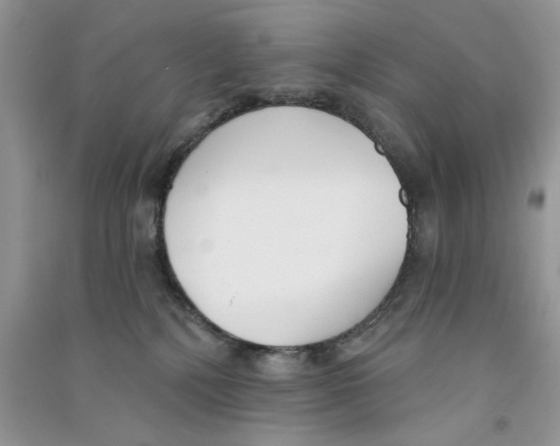 X0000090750232200708172034