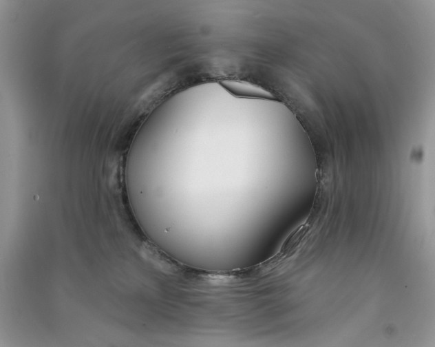 X0000090750233200708172034