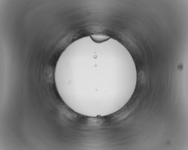X0000090750234200708172034