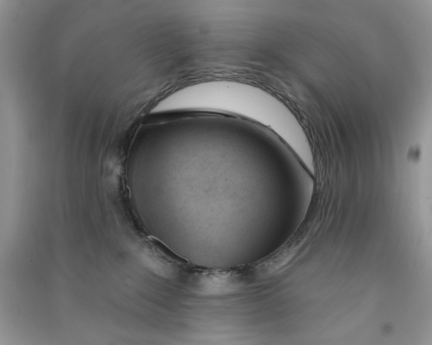 X0000090750235200708172034