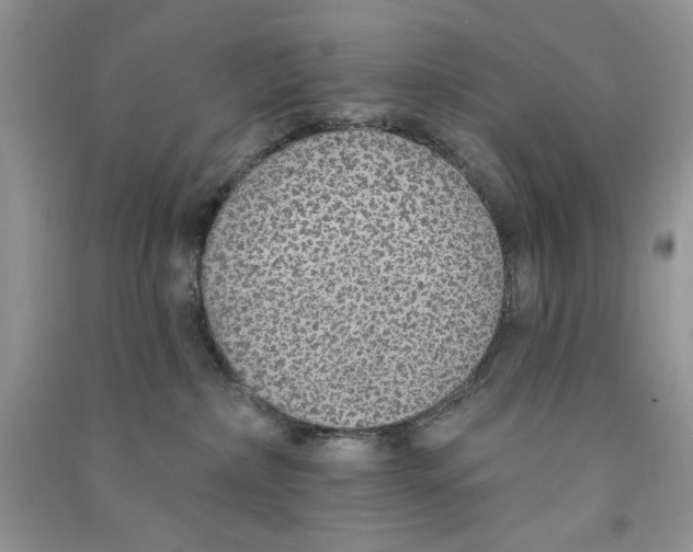 X0000090750236200708172033