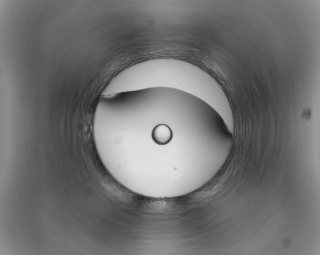 X0000090750237200708172033