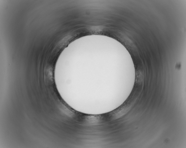 X0000090750238200708172033