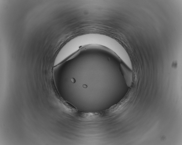 X0000090750239200708172033