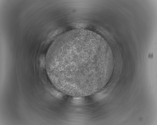 X0000090750240200708172033