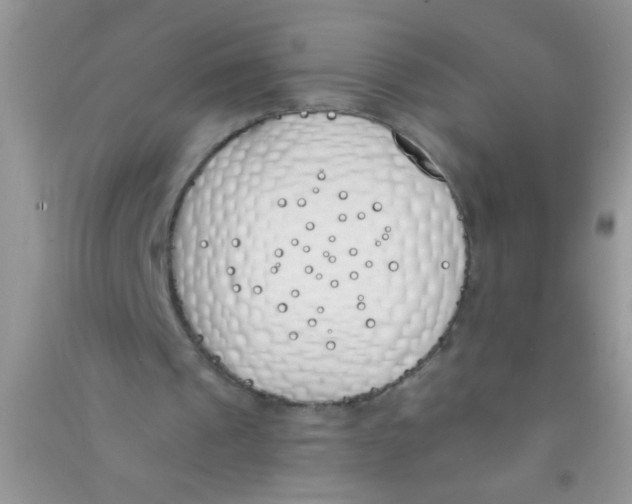 X0000090750241200708172033