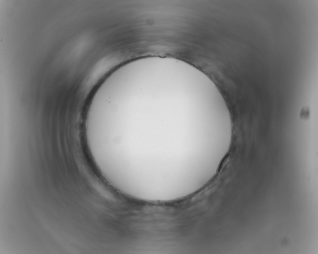 X0000090750242200708172033
