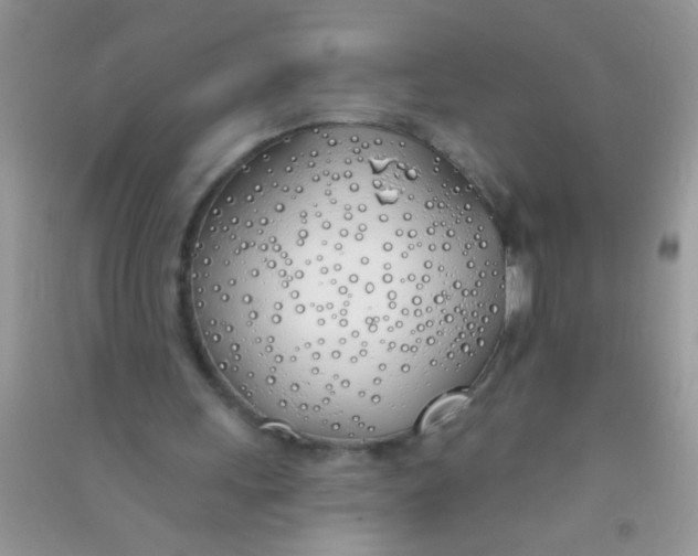 X0000090750243200708172033