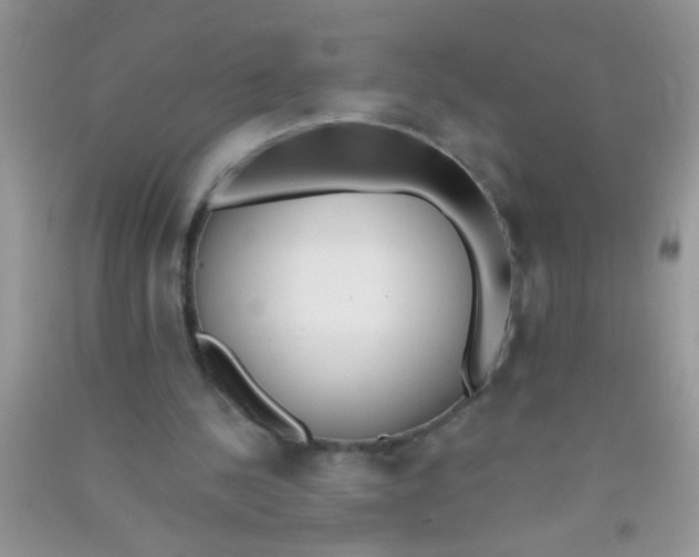 X0000090750244200708172033