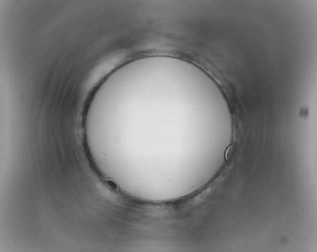 X0000090750245200708172033