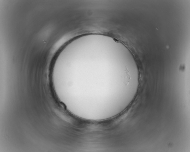 X0000090750246200708172033