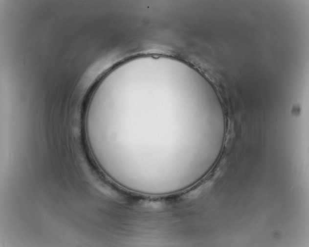 X0000090750247200708172033