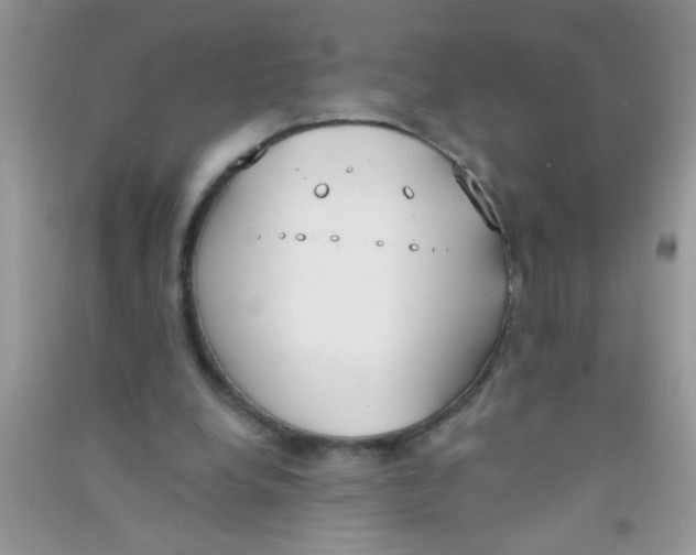 X0000090750248200708172033