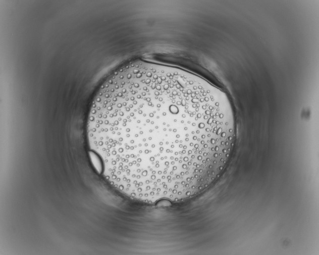 X0000090750249200708172033