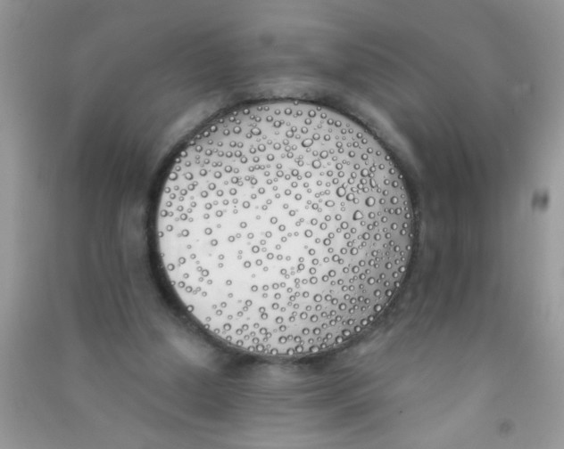 X0000090750250200708172033