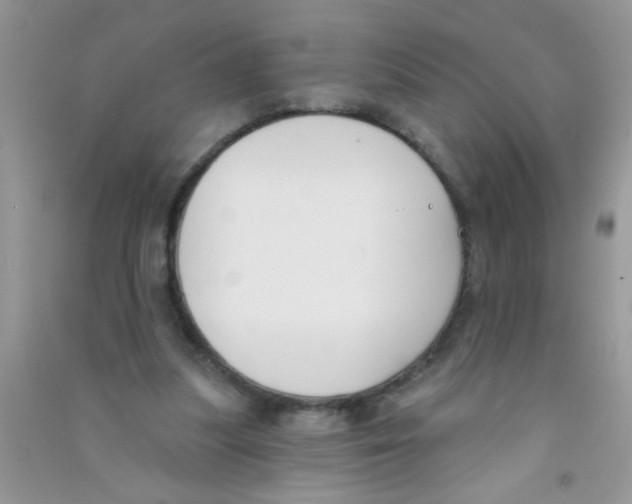 X0000090750251200708172033