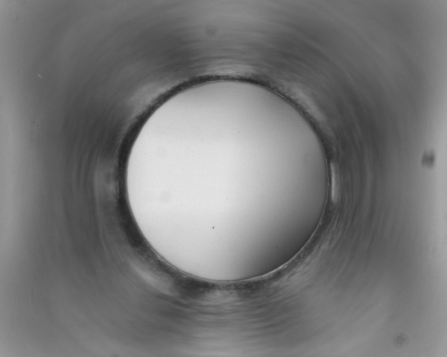 X0000090750252200708172033