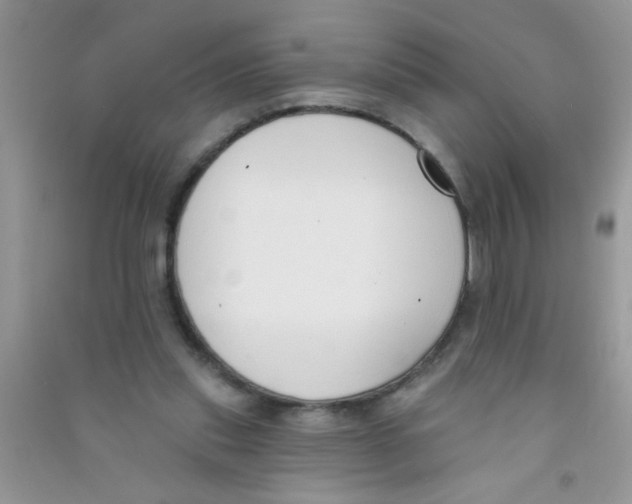 X0000090750253200708172033