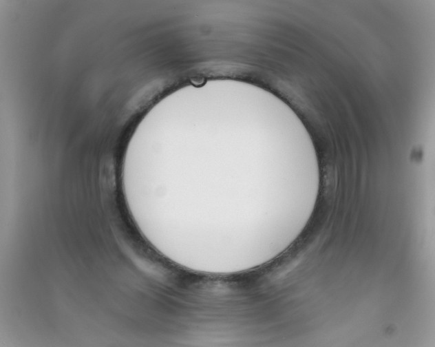 X0000090750254200708172033