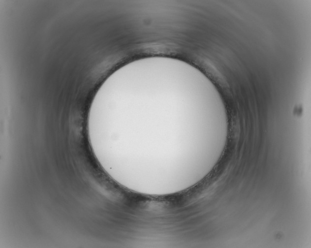 X0000090750255200708172033