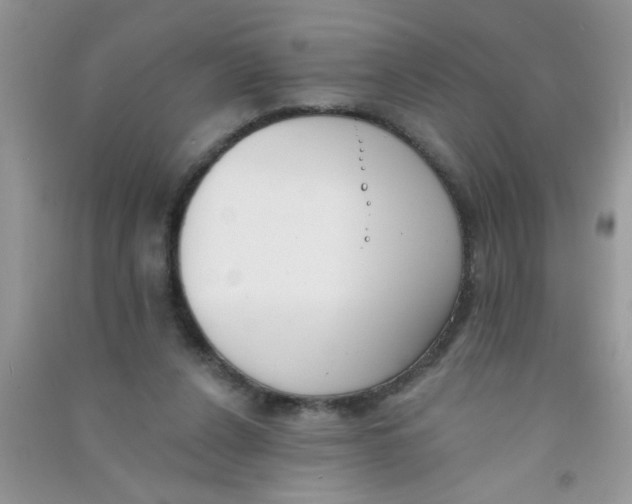 X0000090750256200708172033