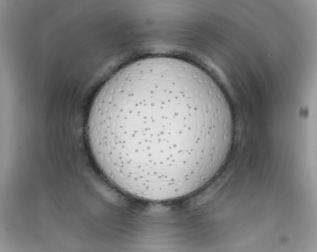 X0000090750257200708172033