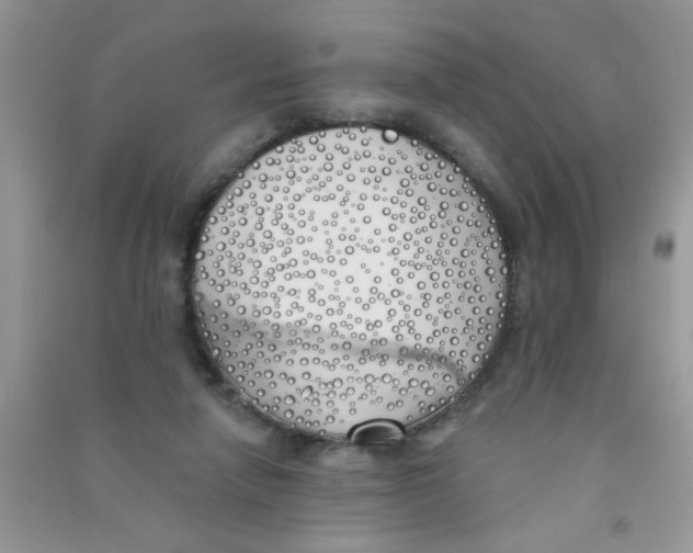 X0000090750258200708172033