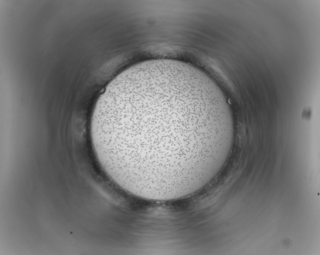 X0000090750259200708172033