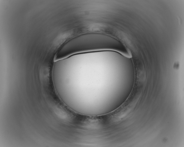 X0000090750260200708172033
