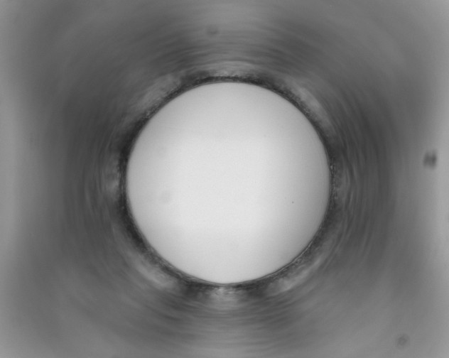 X0000090750261200708172033
