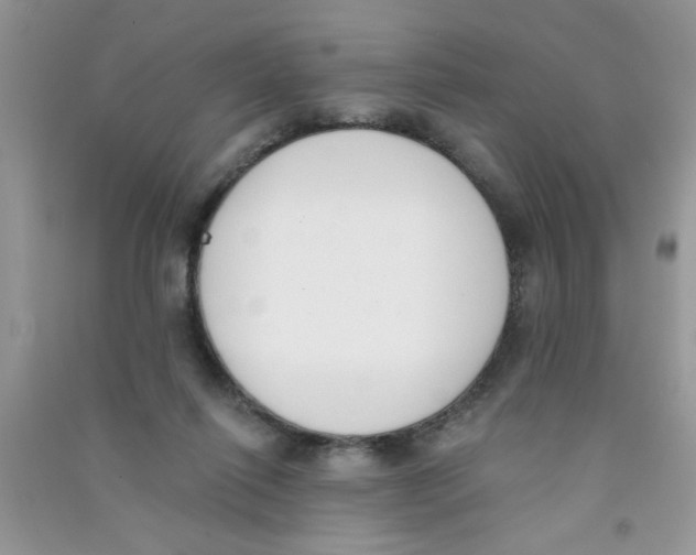 X0000090750262200708172033