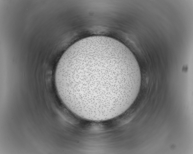 X0000090750263200708172033