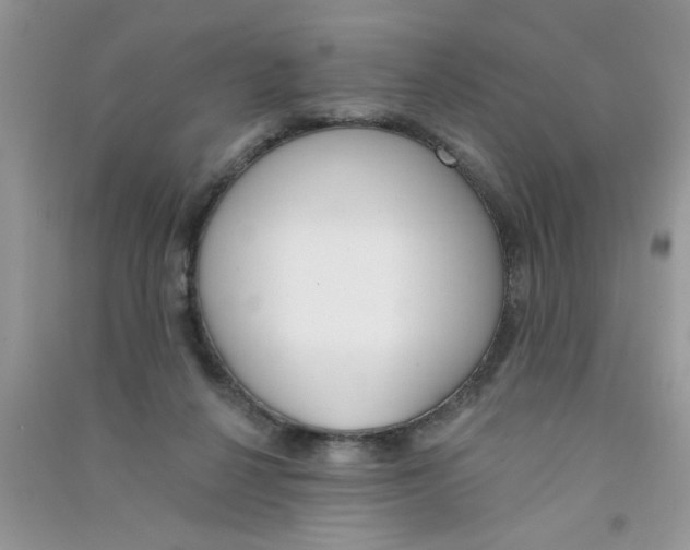 X0000090750264200708172033