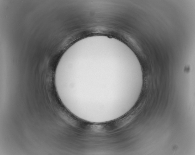 X0000090750265200708172033