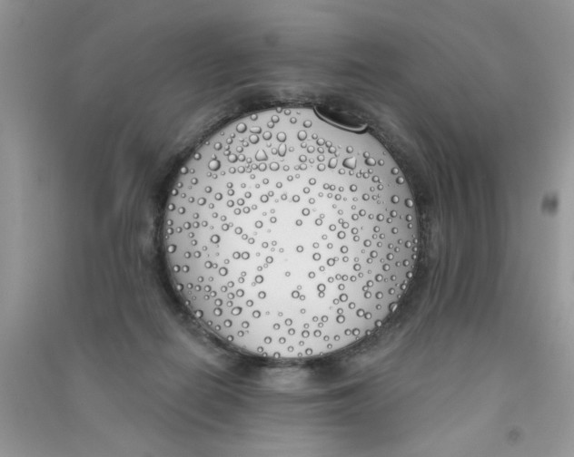 X0000090750266200708172033