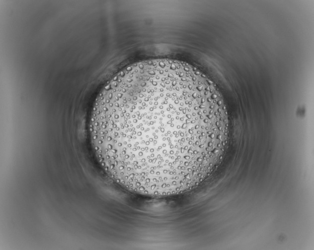 X0000090750267200708172033
