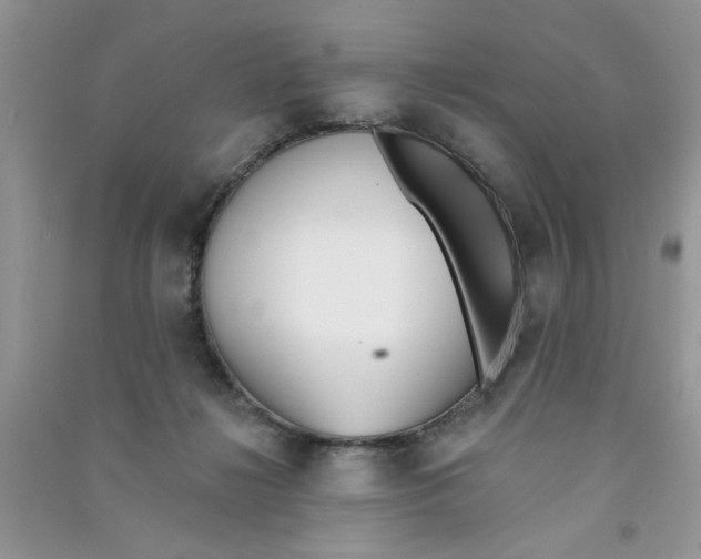 X0000090750268200708172033