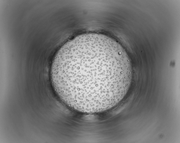 X0000090750269200708172033
