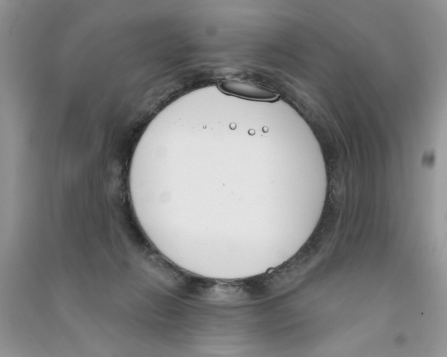X0000090750270200708172033