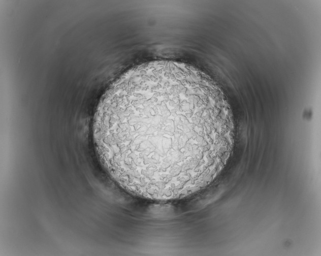 X0000090750271200708172033