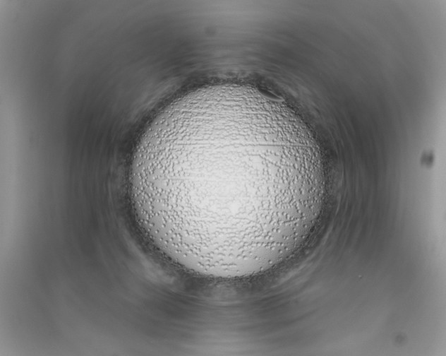 X0000090750272200708172033