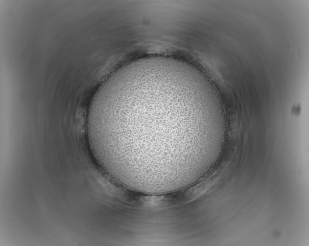 X0000090750273200708172033
