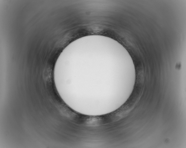 X0000090750274200708172033