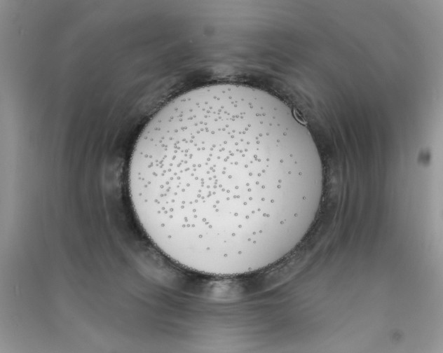 X0000090750275200708172033