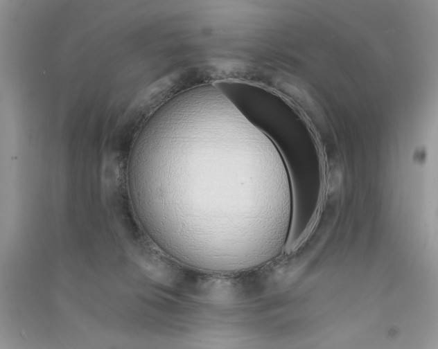 X0000090750276200708172033