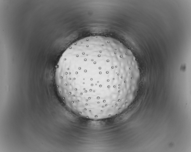 X0000090750277200708172033