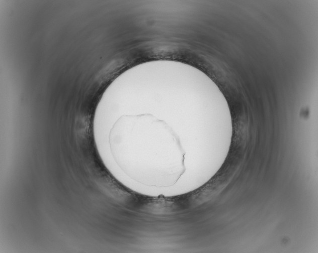X0000090750278200708172033