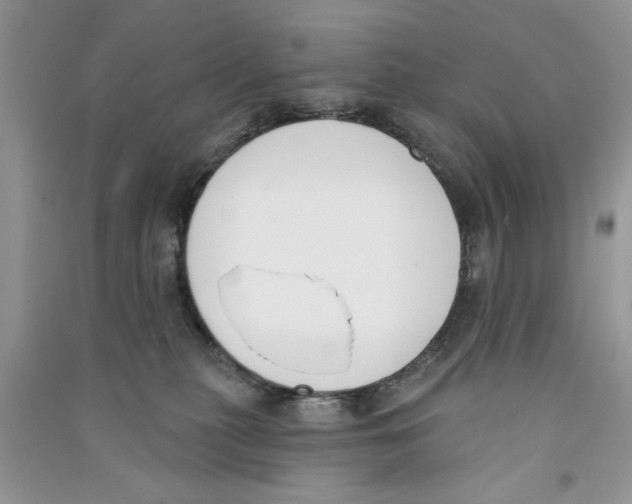 X0000090750279200708172033